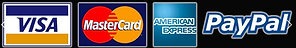 payment logo