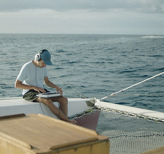 La baleine et le musicien visu provisoire.jpg