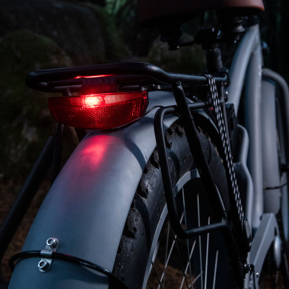ELECTRIC FAT BIKE PORTUGAL