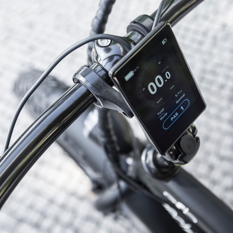 ELECTRIC FAT BIKE PORTUGAL