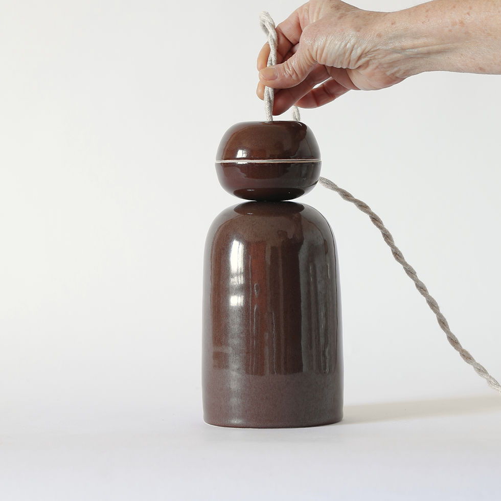 Miniature : Nova Marron et Marron