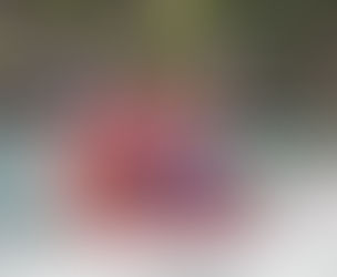 Record-Breaking Year for Alberta’s Visitor Economy