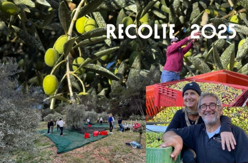 Banquet des récolteurs 