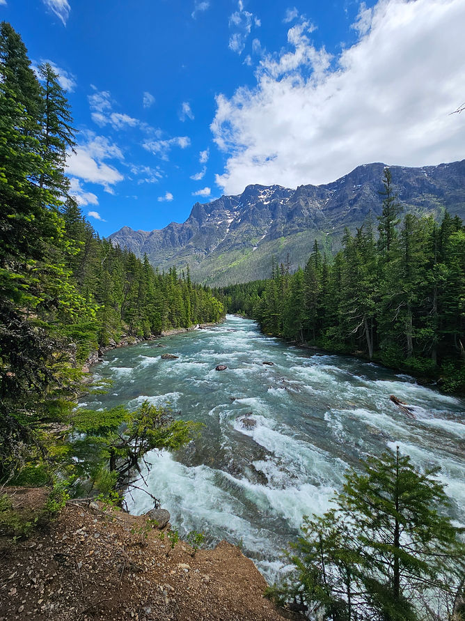 Mcdonald Creek 2.jpg