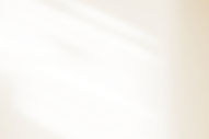 istockphoto-1337144235-612x612_edited.jpg