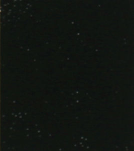 907 Noire Rustic