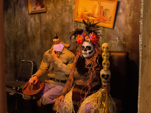 House Of Beetle 2019