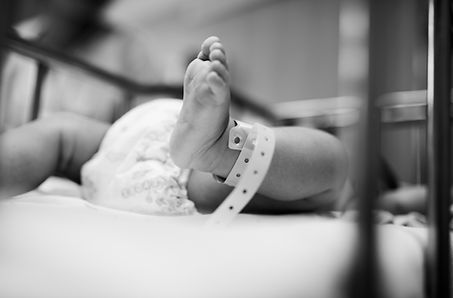 The Bris Guide
