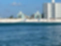 srv from the gulf.jpg