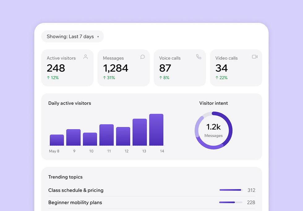 Insights dashboard showing visitor activity and conversation trends