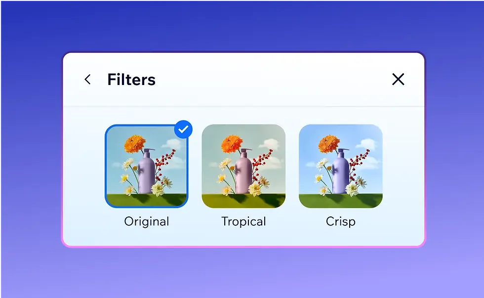 A panel in the Wixel editor where you can choose different photo filters. 