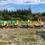 Miniature : Petit train Thomas