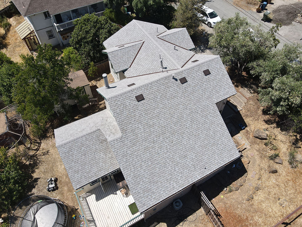 How Professional Roofing Inspections Protect Property Value