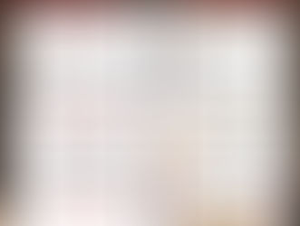 PROGRAMME DES ANIMATIONS