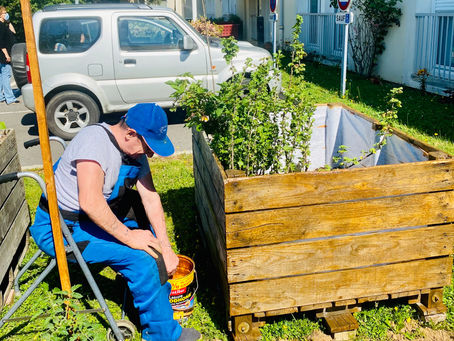 Des nouvelles du potager