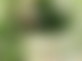 Tips on Attending Bridal Shows