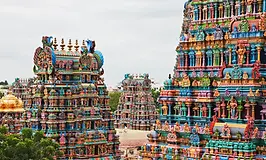 GettyImages-95846139.webp