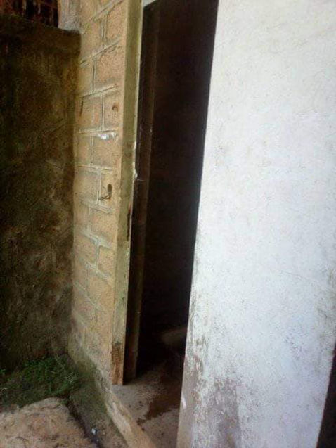 image11.jpeg