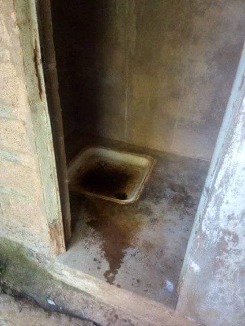 image13.jpeg