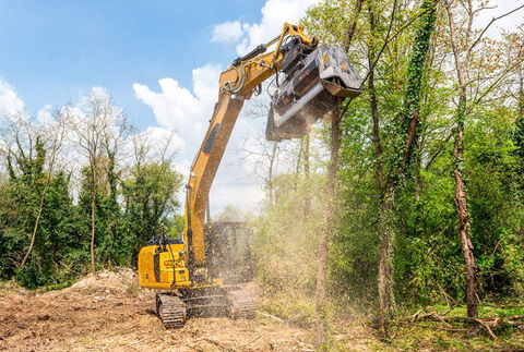 forestry mulching