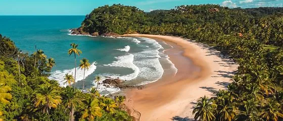 itacaré elton andrade são josé prainha.webp