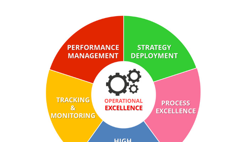 The Role of Leadership in Fostering a Culture of Operational Excellence