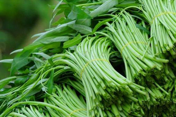 Trước và sau bấm mí kiêng ăn gì? 3