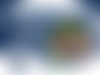 Senior Spotlight: Guarding Your Gut Health