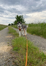 IMG_9280.jpeg