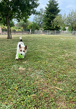 IMG_9967.jpeg