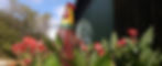 Roster at Barn _ 937x380