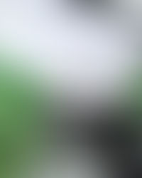 Design Systems 101: Building a Scalable and Consistent Digital Experience