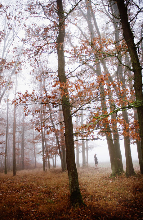 Schwangere Frau im Wald