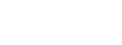 White TSAT logo