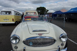 RIMG0312