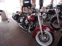 RIMG0528