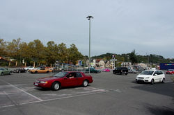 RIMG0229