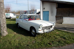 RIMG0343