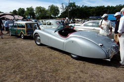 RIMG0219