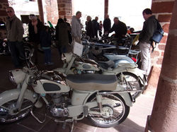 RIMG0525