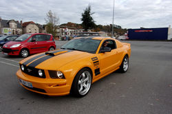 RIMG0772