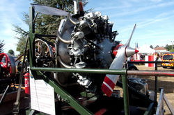 RIMG0054