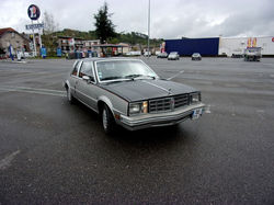 RIMG0390