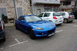 RIMG0311