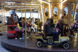 RIMG0877