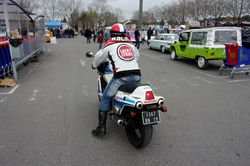 RIMG0231