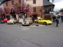 RIMG0563