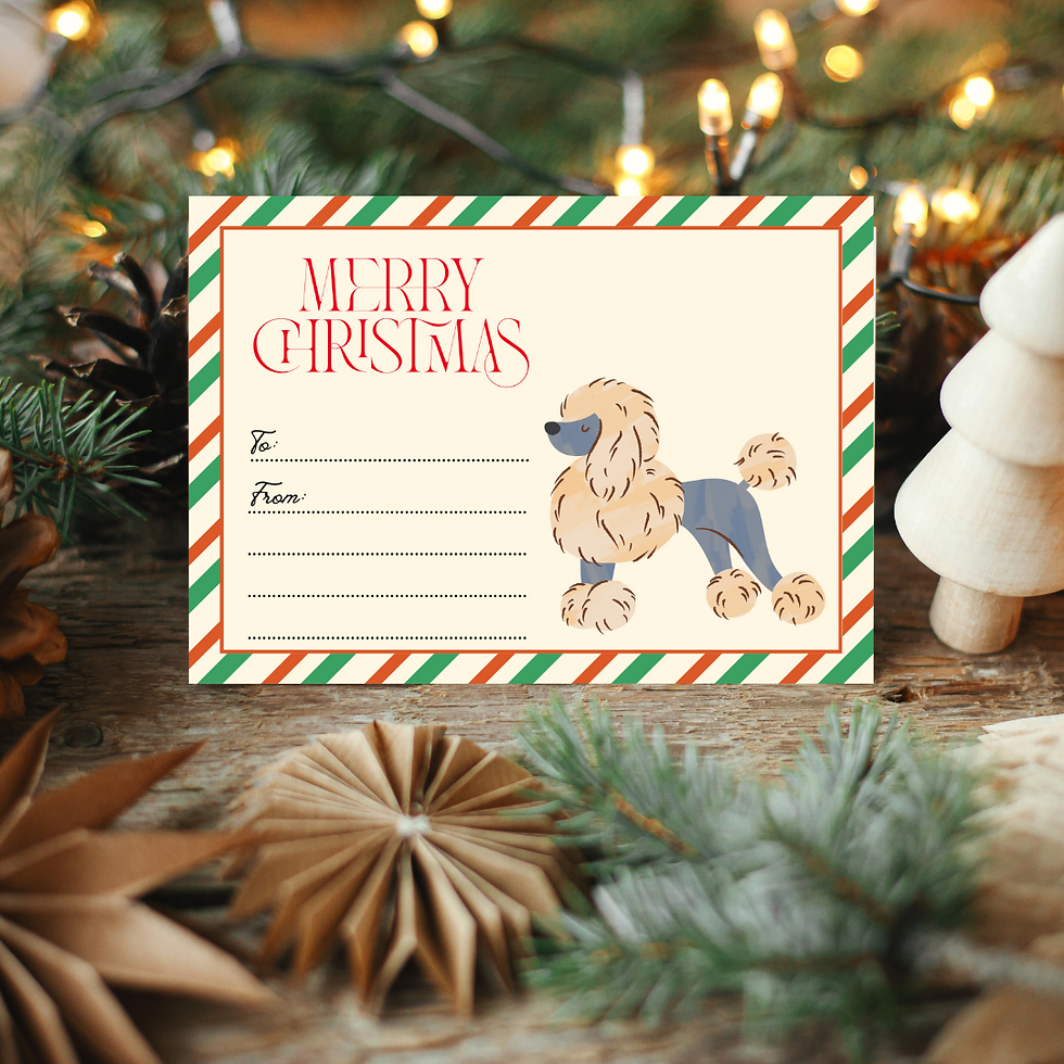 Thumbnail: Retro christmas gift with a poodle illustration.