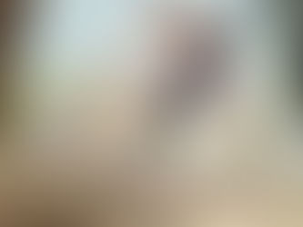 Picture of book "Charlotte's Web" by E.B. White with a pencil lying on it.