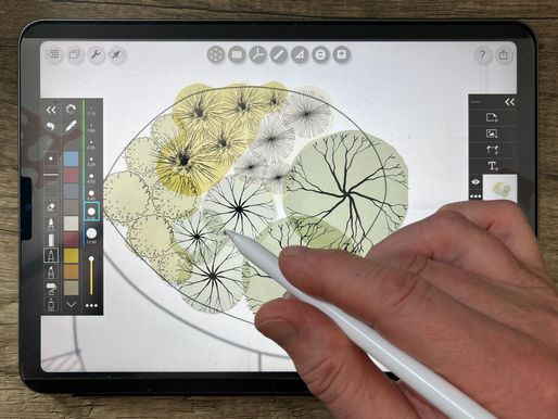 How iPad-Based Workflows Are Changing Professional Garden Design